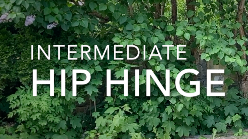 Hip hinge combo